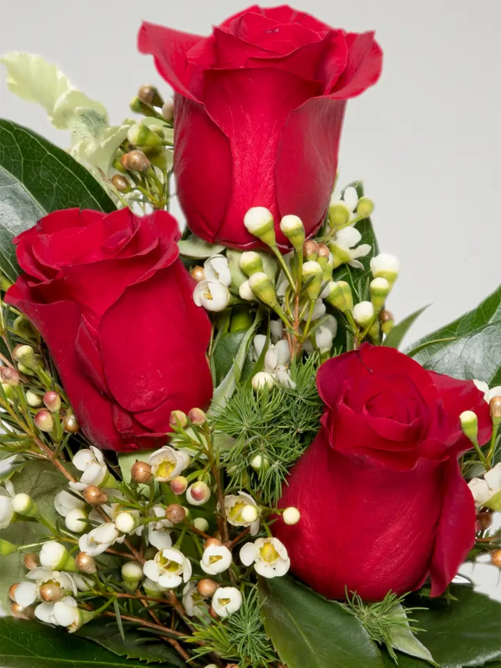 Tre rose rosse dettagli